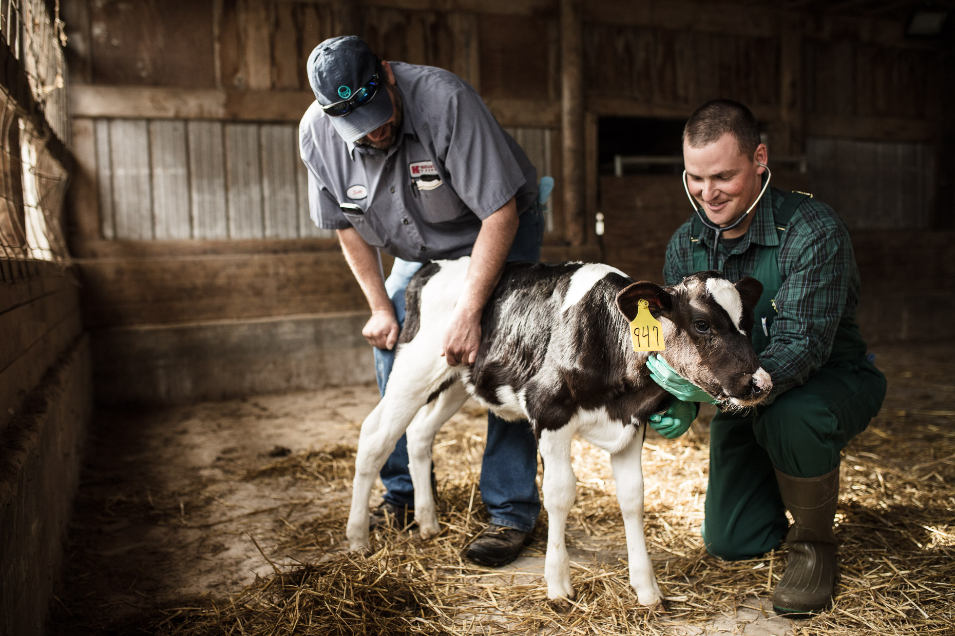 Merck Pharmaceuticals | Agriculture Pharmaceutical Campaign | Michael Kunde Photo