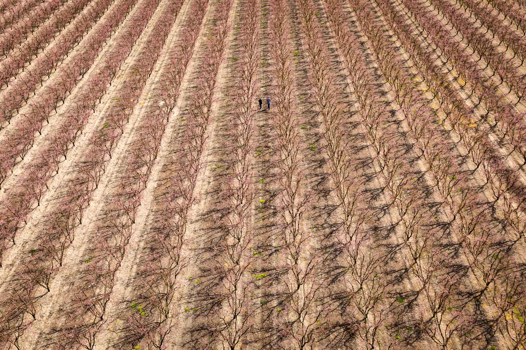 Nutrien Ag Solutions | Agriculture | Michael Kunde Photo