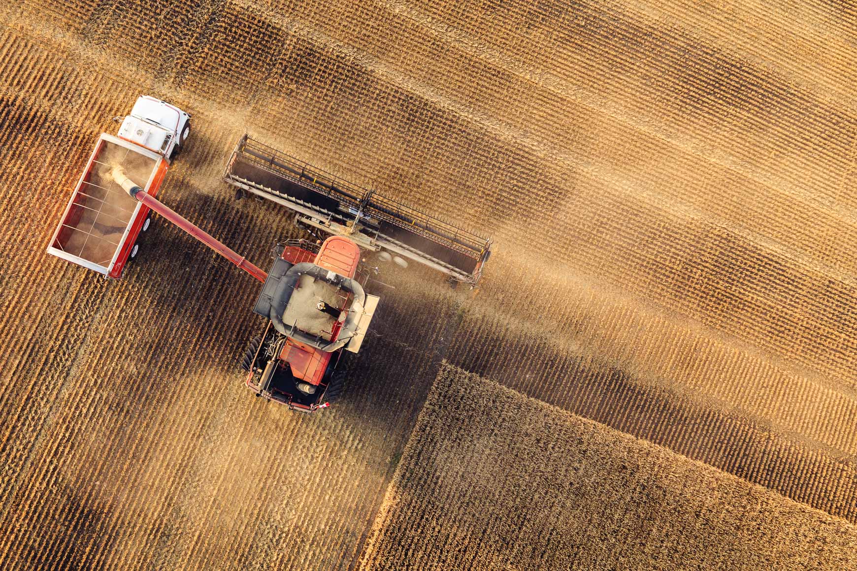 Shell Rotella | Agriculture Canola Harvest | Michael Kunde Photo