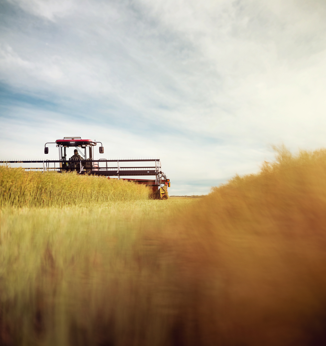 Shell Rotella | Agriculture Canola Harvest | Michael Kunde Photo