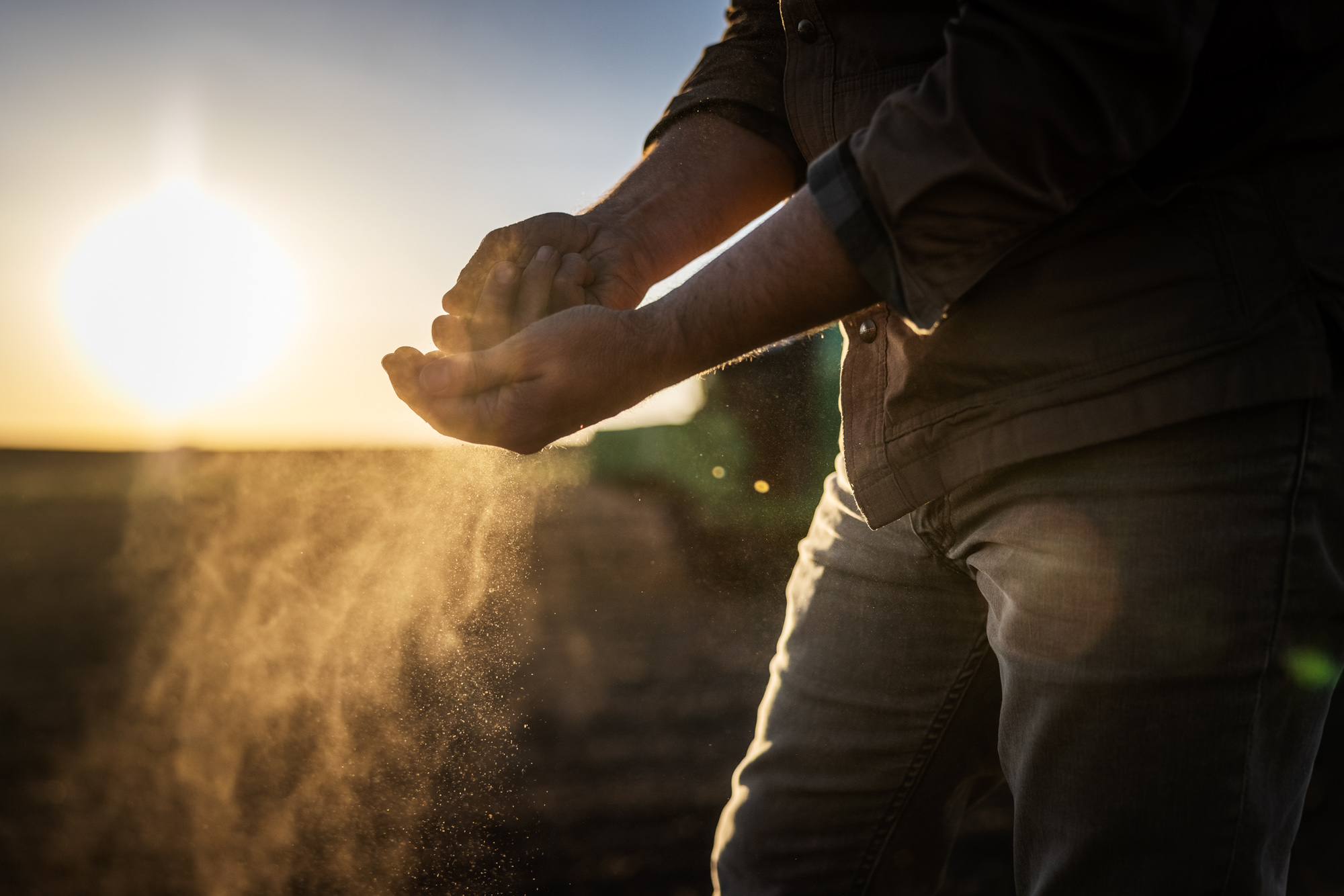 Golden Harvest | Agriculture & Lifestyle | Michael Kunde Photo