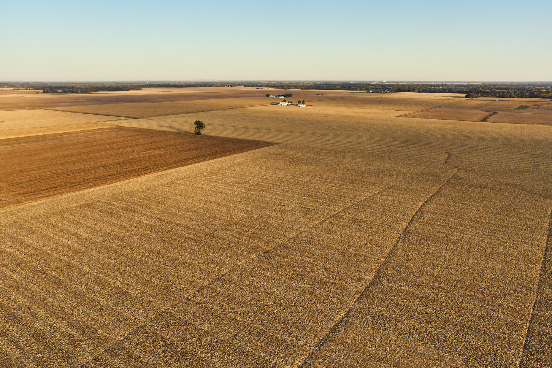 20221010_DKAS_HARVEST_1425