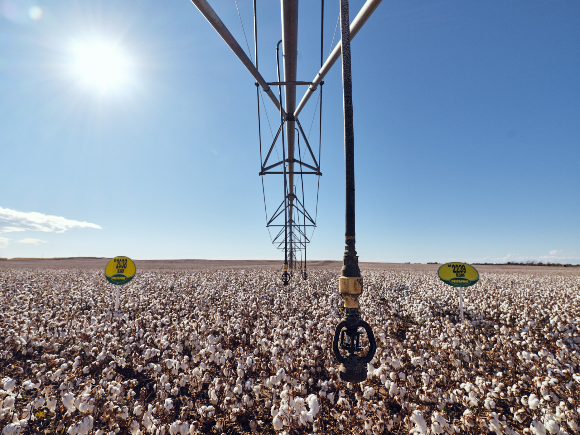 Deltapine | Agriculture Cotton Harvest | Michael Kunde Photo