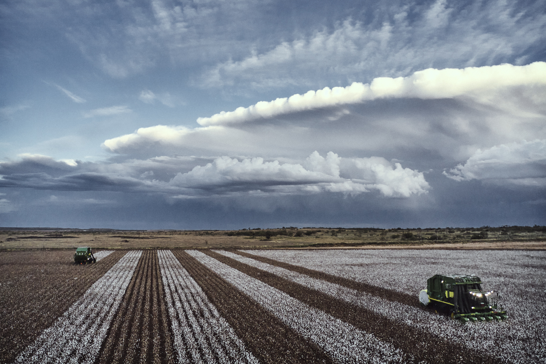Deltapine | Agriculture Cotton Harvest | Michael Kunde Photo