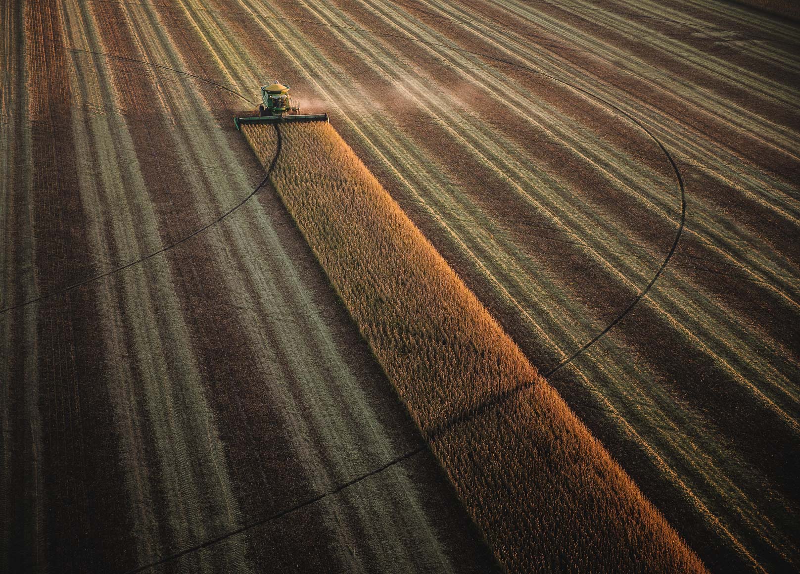 Nutrien Ag Solutions | Agriculture | Michael Kunde Photo