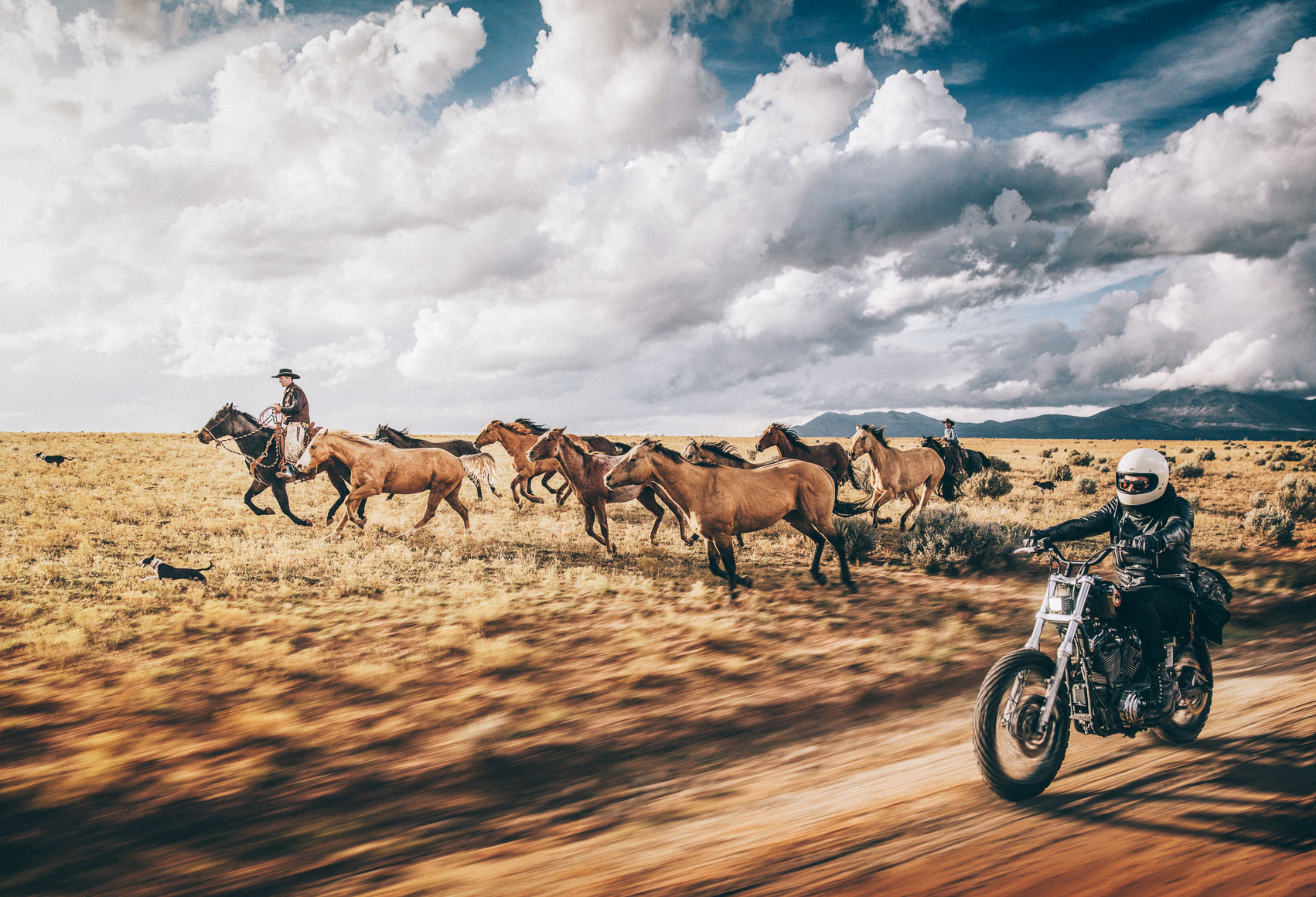 Horse Power Vs Horse Power |Michael Kunde Photo | Utah Tourism | Road to Mighty | Overview